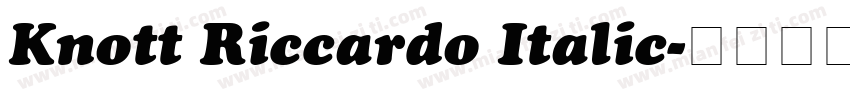 Knott Riccardo Italic字体转换